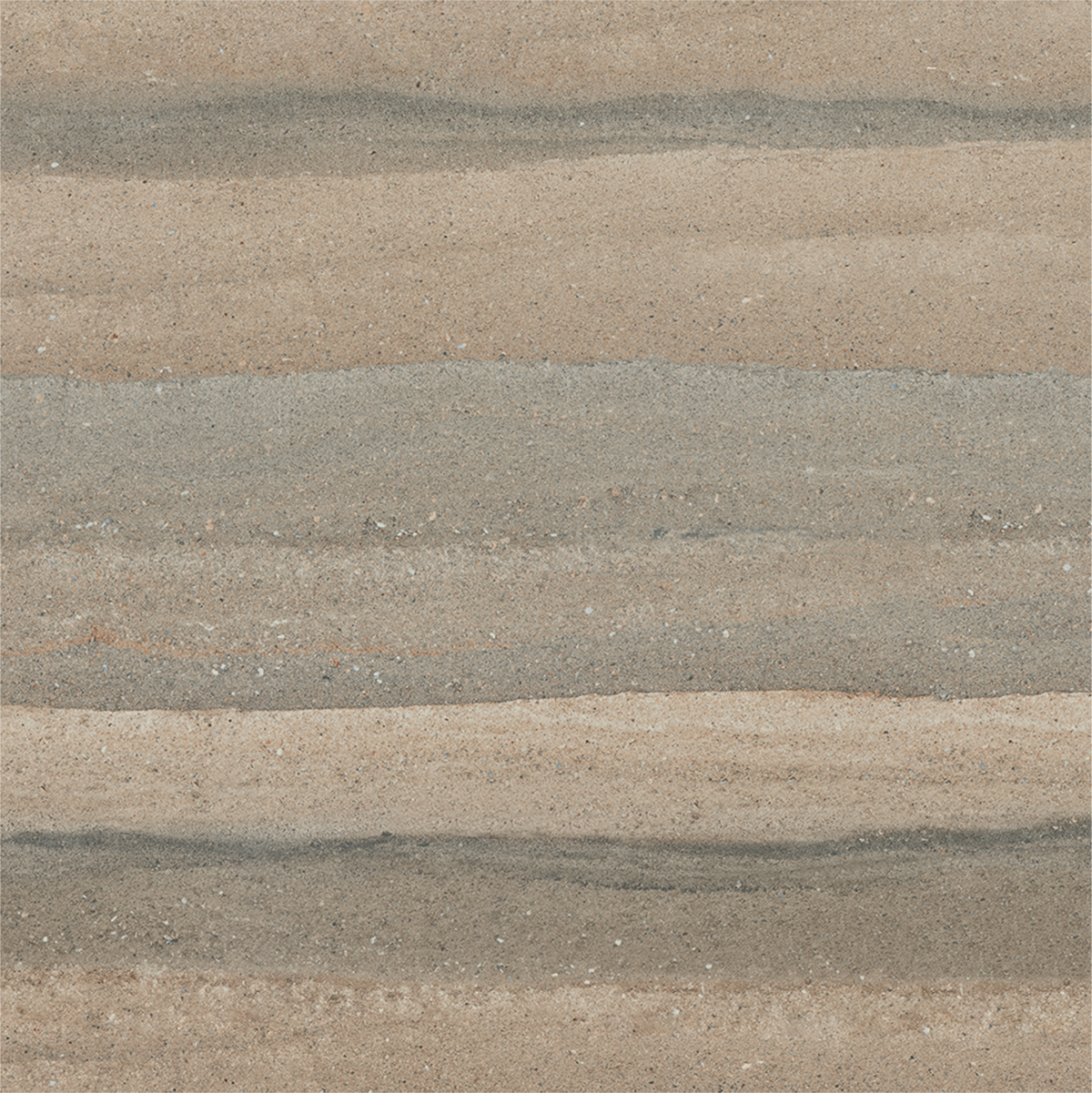 ARMANI VEIN TAUPE